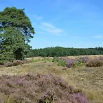 شاليه In Veluwe Near Sauna Drome *