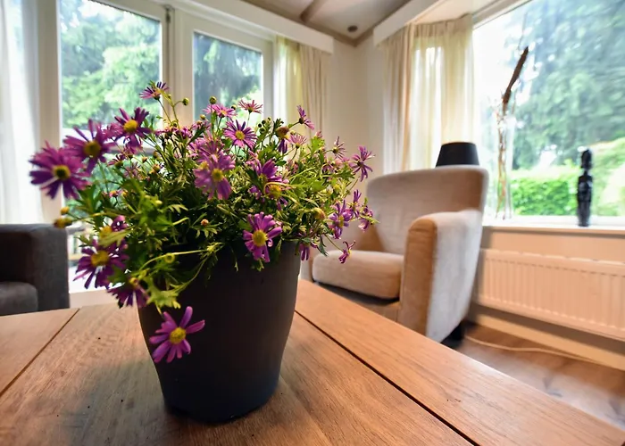 Chalet In Veluwe Near Sauna Drome Putten