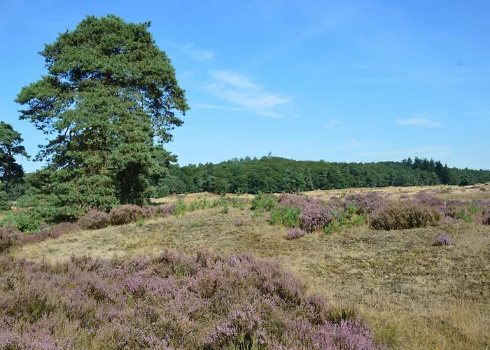 Horská chata In Veluwe Near Sauna Drome *